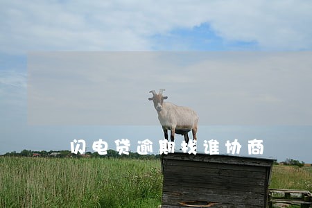 闪电贷逾期找谁协商 闪电贷逾期找谁协商