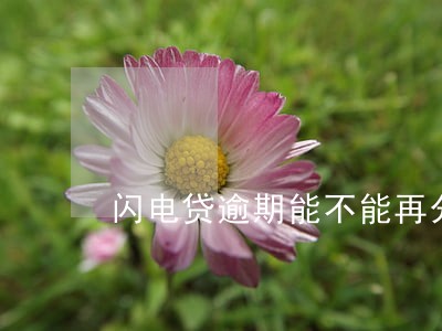 闪电贷逾期能不能再分期 闪电贷逾期能不能再分期