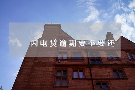 闪电贷逾期要不要还