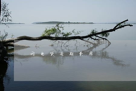 闪电贷逾期费用 闪电贷逾期费用