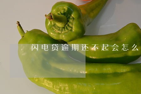 闪电贷逾期还不起会怎么样 闪电贷逾期还不起会怎么样