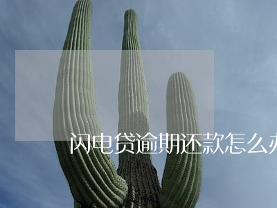 闪电贷逾期还款怎么办