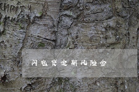 闪电贷逾期风险金 闪电贷逾期风险金