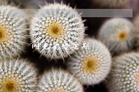 闪电速借逾期 闪电速借逾期