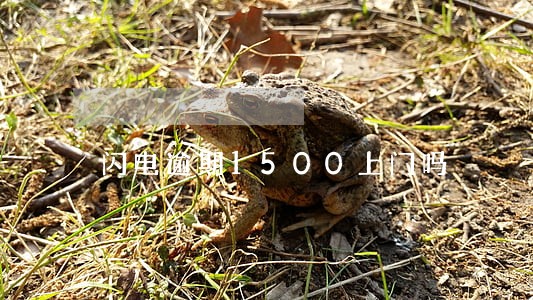 闪电逾期1500上门吗 闪电逾期1500上门吗