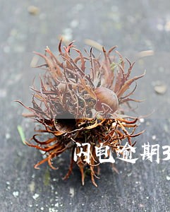 闪电逾期3天可以延期吗 闪电逾期3天可以延期吗