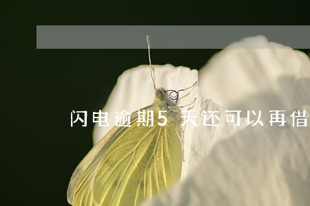 闪电逾期5天还可以再借吗 闪电逾期5天还可以再借吗