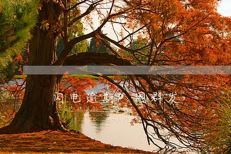 闪电逾期P图群发 闪电逾期P图群发