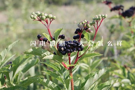 闪电逾期一天会怎么样 闪电逾期一天会怎么样