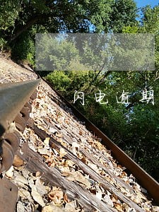 闪电逾期一天能延期吗 闪电逾期一天能延期吗