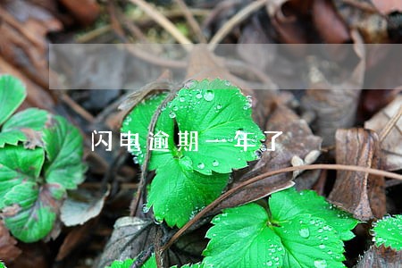 闪电逾期一年了 闪电逾期一年了
