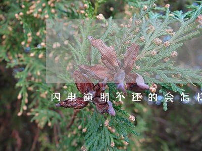 闪电逾期不还的会怎样 闪电逾期不还的会怎样