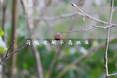 闪电逾期不退担保 闪电逾期不退担保