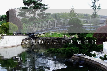 闪电逾期之后还能借吗