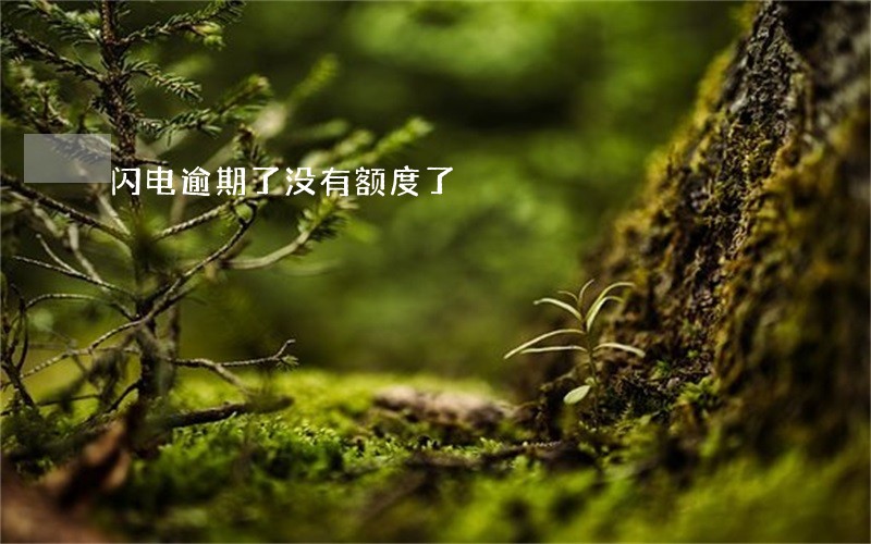 闪电逾期了没有额度了 闪电逾期了没有额度了