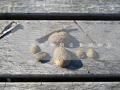 闪电逾期会自动扣款 闪电逾期会自动扣款
