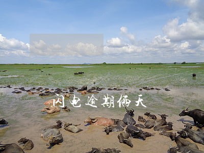 闪电逾期俩天 闪电逾期俩天