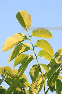 闪电逾期催收上门 闪电逾期催收上门