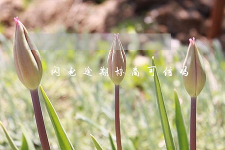 闪电逾期协商可信吗 闪电逾期协商可信吗