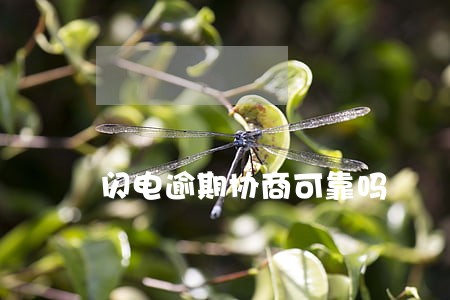 闪电逾期协商可靠吗 闪电逾期协商可靠吗