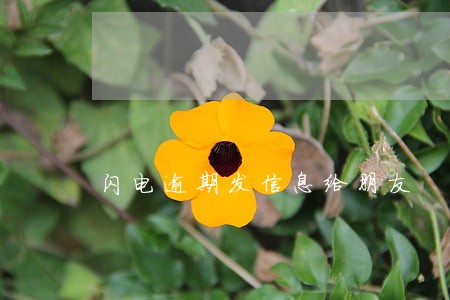 闪电逾期发信息给朋友