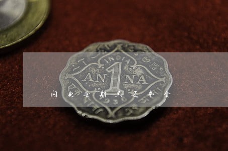 闪电逾期只还本金 闪电逾期只还本金