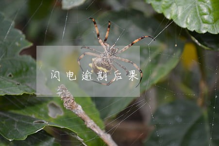 闪电逾期后果 闪电逾期后果