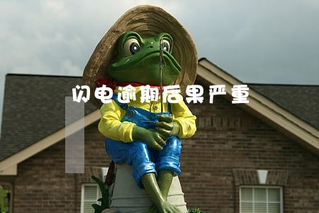 闪电逾期后果严重 闪电逾期后果严重
