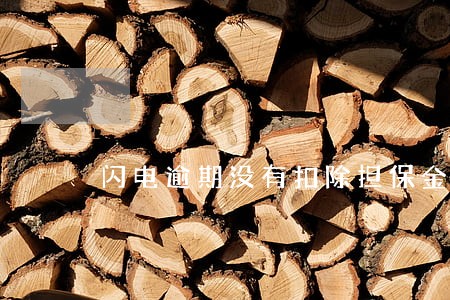 闪电逾期没有扣除担保金 闪电逾期没有扣除担保金