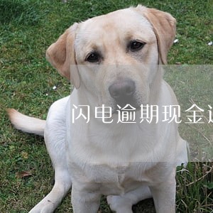 闪电逾期现金速递 闪电逾期现金速递
