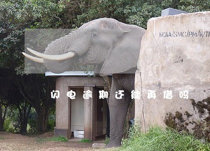 闪电逾期还能再借吗 闪电逾期还能再借吗