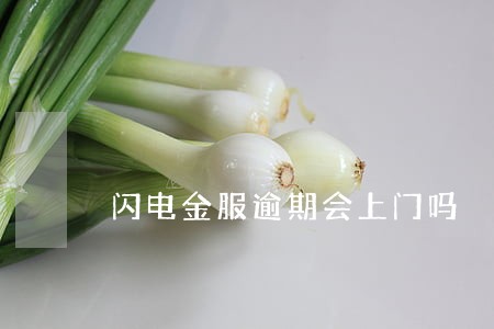 闪电金服逾期会上门吗 闪电金服逾期会上门吗