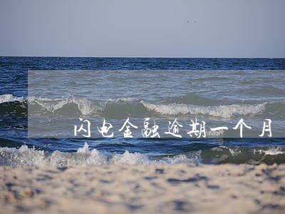 闪电金融逾期一个月 闪电金融逾期一个月