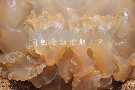 闪电金融逾期三天 闪电金融逾期三天