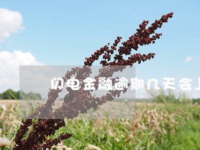 闪电金融逾期几天会上征信 闪电金融逾期几天会上征信
