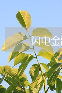 闪电金融逾期多久会上门 闪电金融逾期多久会上门