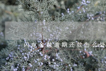 闪电金融逾期还款怎么处理 闪电金融逾期还款怎么处理