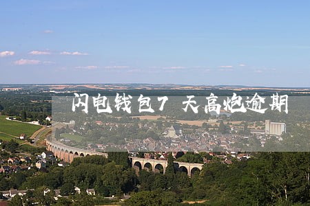 闪电钱包7天高炮逾期 闪电钱包7天高炮逾期