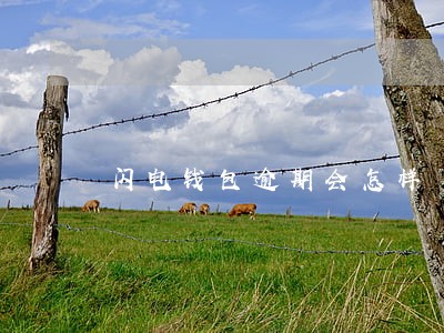 闪电钱包逾期会怎样 闪电钱包逾期会怎样