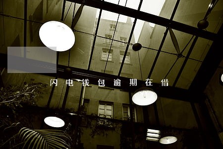 闪电钱包逾期在借 闪电钱包逾期在借