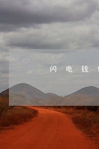 闪电钱包逾期怎么处理 闪电钱包逾期怎么处理