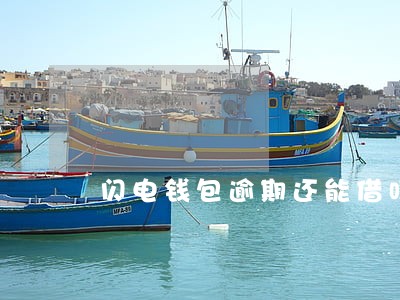 闪电钱包逾期还能借吗 闪电钱包逾期还能借吗