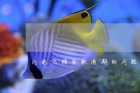 闪电飞猪贷款逾期的问题 闪电飞猪贷款逾期的问题