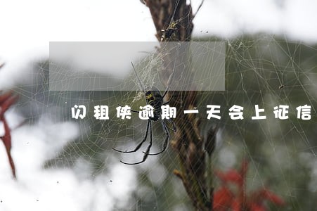 闪租侠逾期一天会上征信吗