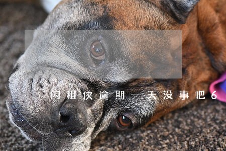 闪租侠逾期一天没事吧6 闪租侠逾期一天没事吧6