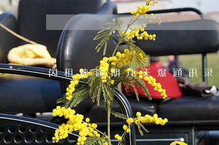 闪租侠逾期几天爆通讯录