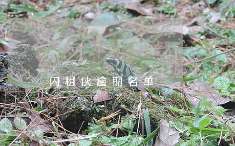 闪租侠逾期名单 闪租侠逾期名单
