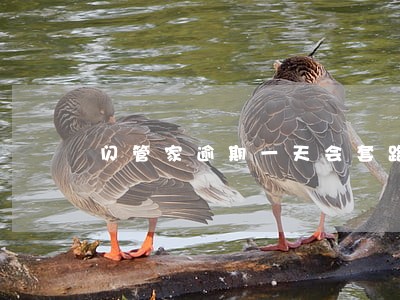 闪管家逾期一天会套路吗 闪管家逾期一天会套路吗