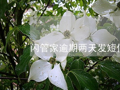 闪管家逾期两天发短信 闪管家逾期两天发短信