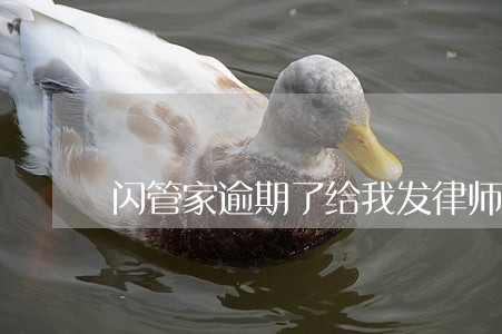 闪管家逾期了给我发律师函了